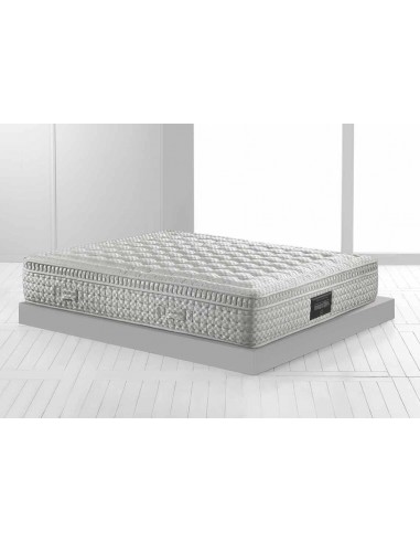 Maestro Dual 14